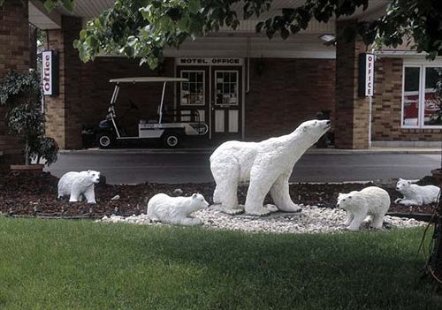 Ivy Rose Motor Inn Windsor Exterior foto